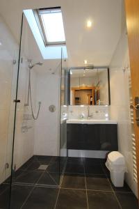 une salle de bain avec douche et lavabo dans l'établissement Pittlanderhof, à Innsbruck