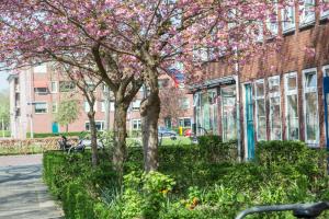 Afbeelding uit fotogalerij van Stee in Stad in Groningen