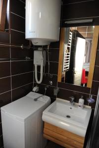y baño con lavabo, aseo y espejo. en Apartments Erakovic en Nikšić