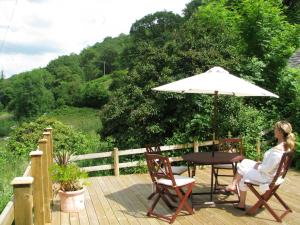 Foto dalla galleria di Dolmurgoch Snowdonia Cottage a Dolwyddelan