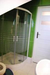 ワルシャワにあるApartament - Chelmskaの緑の壁のバスルーム(シャワー、トイレ付)