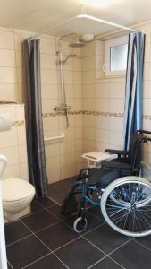 - Baño adaptado para silla de ruedas con aseo y ducha en Chambres d'hotes Ti ar raniged, en Beuzec-Cap-Sizun