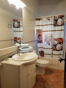 ジローナにあるApartamento Peratalladaのバスルーム(洗面台、トイレ、シャワーカーテン付)