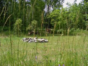 Loodusmaastik of the bed and breakfast lähedal