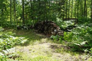 Loodusmaastik of the bed and breakfast lähedal