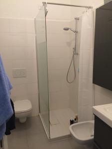 een badkamer met een douche, een toilet en een wastafel bij Lovely apt. only 300mt. Monza F1 Circuit-Park-Golf in Biassono