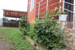 a row of plants in front of a building at Hotel Ureki in Ureki