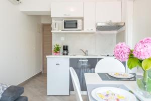 Kuchyň nebo kuchyňský kout v ubytování Guesthouse Pezo