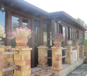 Zahrada ubytování B&B Villa Giusy
