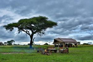 una mesa, un árbol y una tienda en un campo en Pumzika Luxury Safari Camp, en Banagi