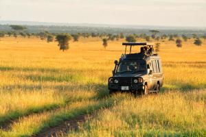 Fotografia z galérie ubytovania Pumzika Luxury Safari Camp v destinácii Banagi