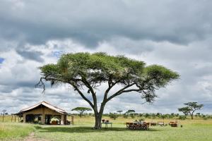 a tree in the middle of a field with a building at Pumzika Luxury Safari Camp in Serengeti National Park