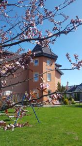 un edificio con un árbol florido delante de él en Posejdon, en Ustronie Morskie