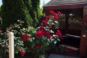 Um jardim no exterior de Inch View Lodge