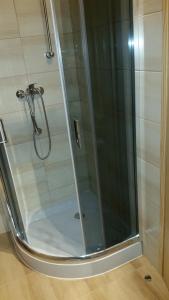 a shower with a glass door in a bathroom at Domki letniskowe Yaga in Wilkasy