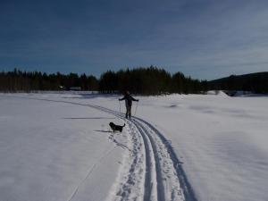 Nya Skogsgården Hostel durante l'inverno