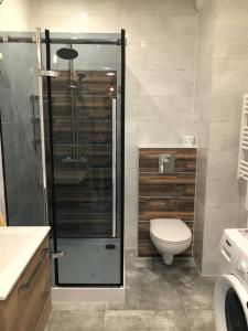 a bathroom with a shower and a toilet in it at Brovar City Centre Apartament in Gdańsk