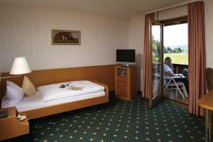 TV a/nebo společenská místnost v ubytování Hotel Drei Konige