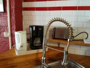 um balcão de cozinha com um lavatório e comodidades para preparar café em Home Nantua studio meublés Ain-Jura em Nantua