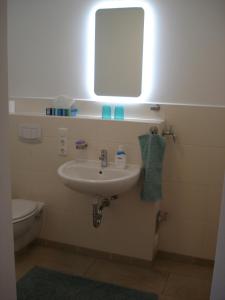 a bathroom with a sink and a mirror and a toilet at Ferienwohnung am Schöhsee in Plön