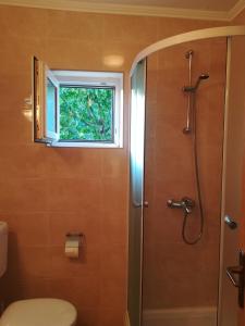 a bathroom with a shower and a toilet and a window at Guesthouse Oliva in Cavtat