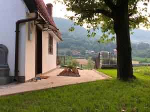 una casa con un árbol al lado de una acera en Villa Ammirevole -MOON-, en Visoko