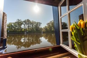 
a window with a view of the water and plants at Boat Hotel De Barge in Bruges

