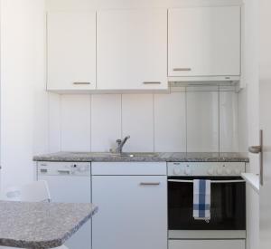 a white kitchen with a sink and a stove at Apartment am Rhein in Basel