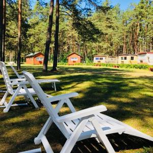 Vườn quanh Chill&Grill camping