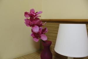 Fotografie z fotogalerie ubytování Hotel Diana v destinaci Cassino