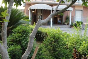 Zahrada ubytování Hotel Diana
