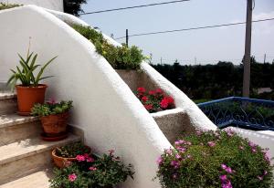 a bunch of flowers on a staircase with plants at Patty green house in Castellana Grotte +33 photos