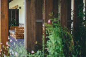 a view of a room with some plants at Fuente El Güeyu in Cabielles