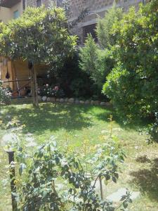A garden outside La Graziosa Dépendance