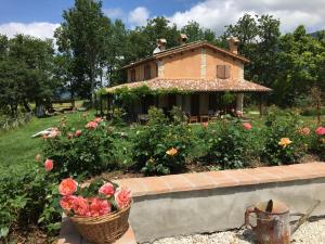 Κήπος έξω από το Casa Baldoni