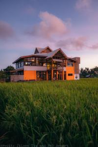 una casa en una colina con un campo de hierba en Guerrera Rice Paddy Villas en Mambajao