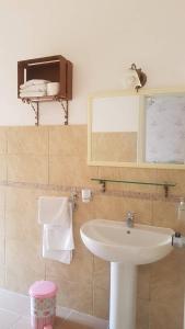 Koupelna v ubytování B&B Kalinìkta