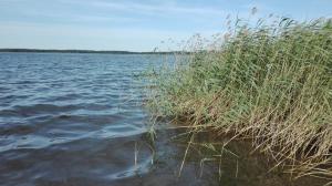 Príroda v okolí dovolenkového domu