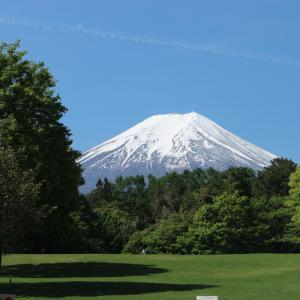 a snow covered mountain with trees in the foreground at Hana Hostel Fujisan in Fujiyoshida