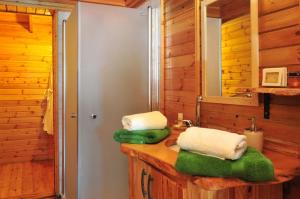 un bagno con lavandino e asciugamani su un bancone di פסגת מתת Pisgat mattat a Mattat Altre 37 foto