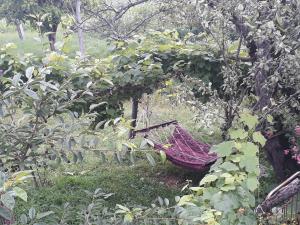 Giardino di Guest House Karati