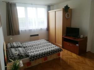 Postel nebo postele na pokoji v ubytování Apartmán Panská