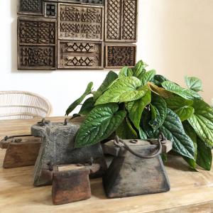 Fotografie z fotogalerie ubytování Raya Heritage - SHA Plus v destinaci Chiang Mai