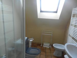 a bathroom with a toilet and a shower and a sink at Le Clos Des Alouettes in Sainte Anne d'Auray 