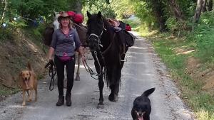 a woman walking a horse on a road with two dogs at le relais des fees in Saint-Martin-de-Caralp