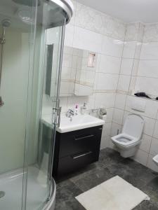 a bathroom with a shower and a sink and a toilet at Cabana Vânătorilor din Valiug in Văliug +12 photos
