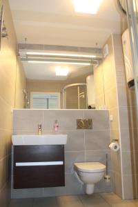 a bathroom with a sink and a toilet at Apartmán Pálava 1 s terasou a výhledem na jezero in Pavlov