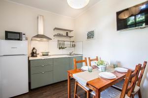 Green Residence Élményközpont Velenceにあるキッチンまたは簡易キッチン