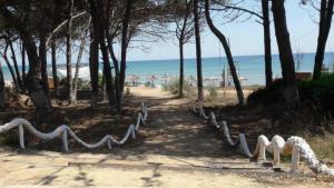 a path leading to a beach with trees and the ocean at Helonata Apartments in Arkoudi