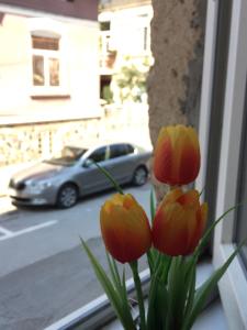 un vase avec des fleurs orange sur un rebord de fenêtre avec une voiture dans l'établissement Apartment August 11, à Sofia